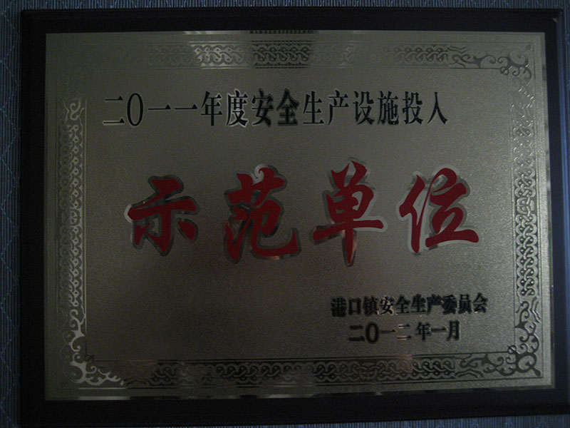 2011年度安全生产设施投入示范单位